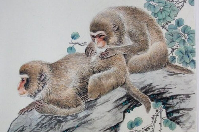 Monkey Zodiac Sign - Year of Monkey Traits with Horoscope Meaning & Personality